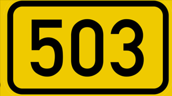 503--Google-11-29-2025_02_32_PM.png.eb99d3844d828088875eef580dc07a3d.png